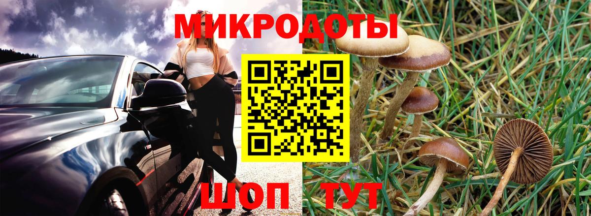 Галлюциногенные грибы Psilocybe  Вход с VPN  Обь 